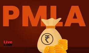PMLA Cases Representation